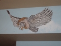 Childrens Painted Wall Murals eagle