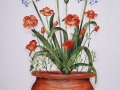 residential-murals-potted-flowers-poppies-and-agapanthas